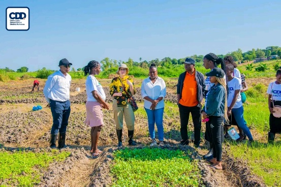 Visita de Monitoria às Iniciativas Juvenis desenvolvidas pelo Youth Hub de Chibuto - Maio 2025