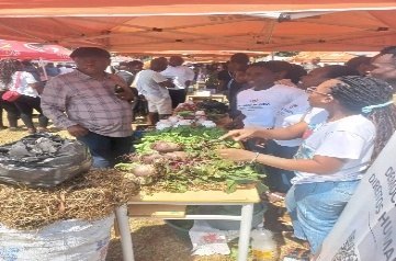 Actividade da Cooperativa Pfukani